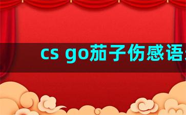 cs go茄子伤感语录